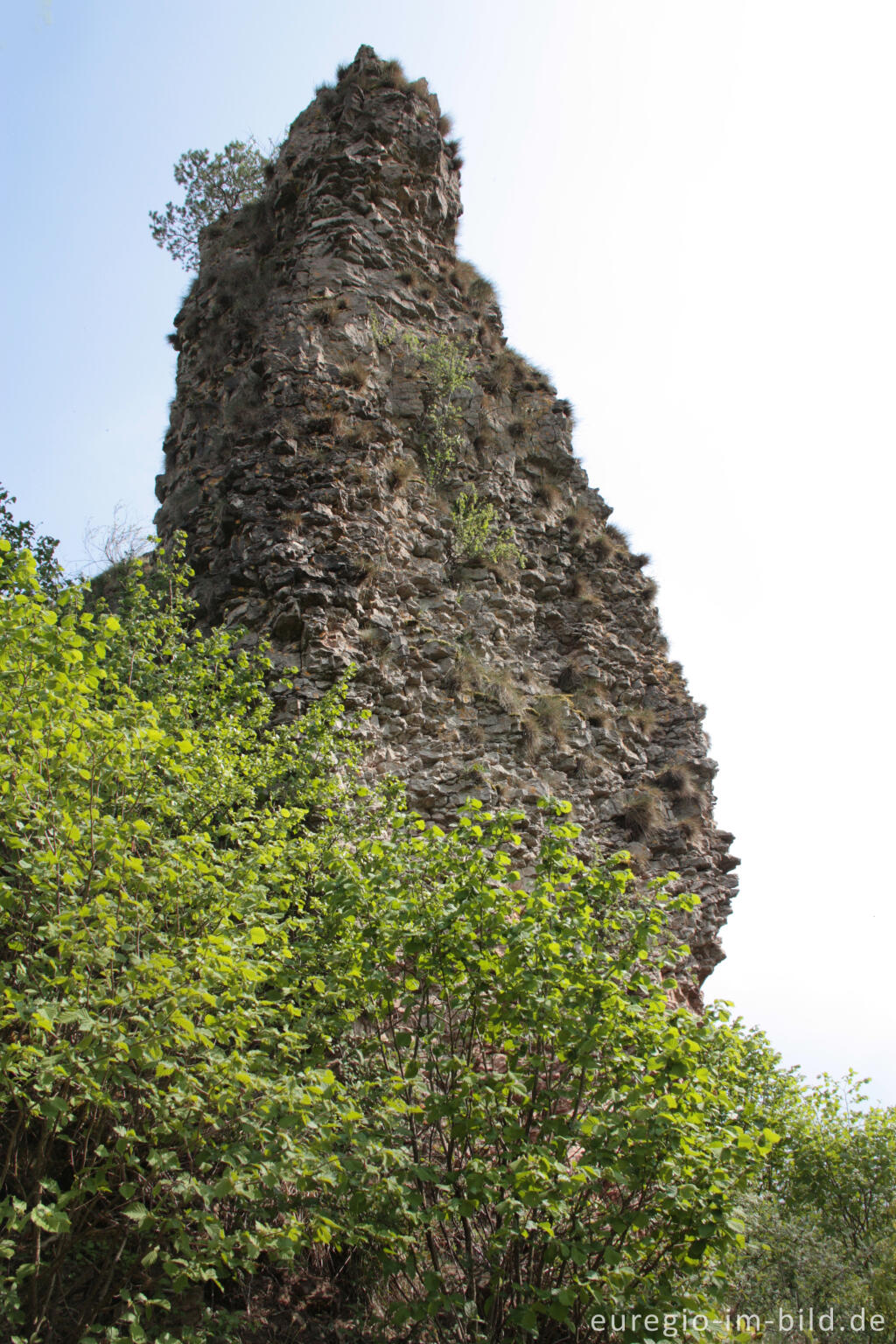 Detailansicht von Der Auberg  im Naturschutzgebiet Gerolsteiner Dolomiten