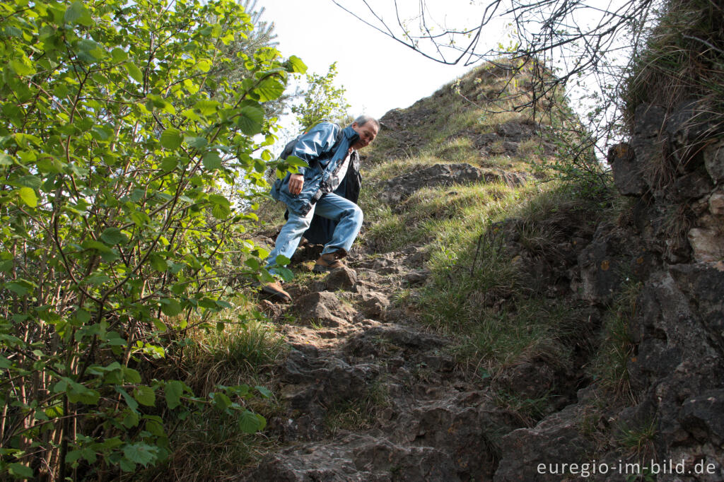 Detailansicht von Der Auberg im Naturschutzgebiet Gerolsteiner Dolomiten