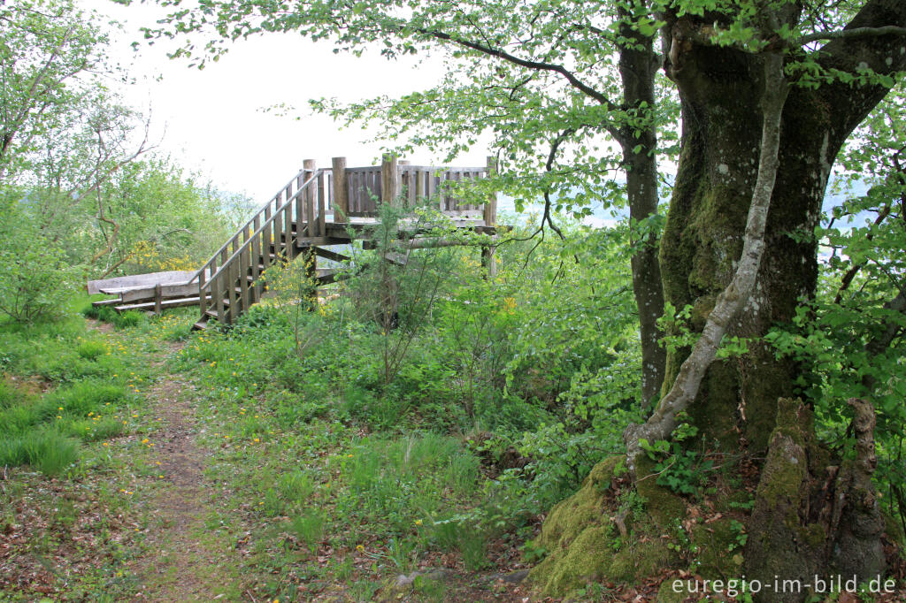 Detailansicht von Der Aussichtspunkt Schockenturm bei Gerolstein