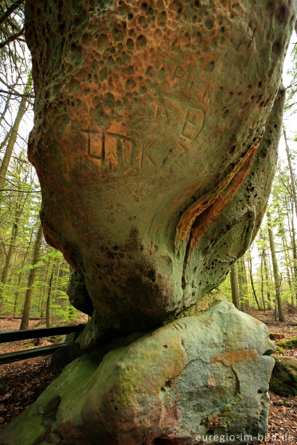 Detailansicht von Der Bärenstein auf dem Ferschweiler Plateau in der Südeifel