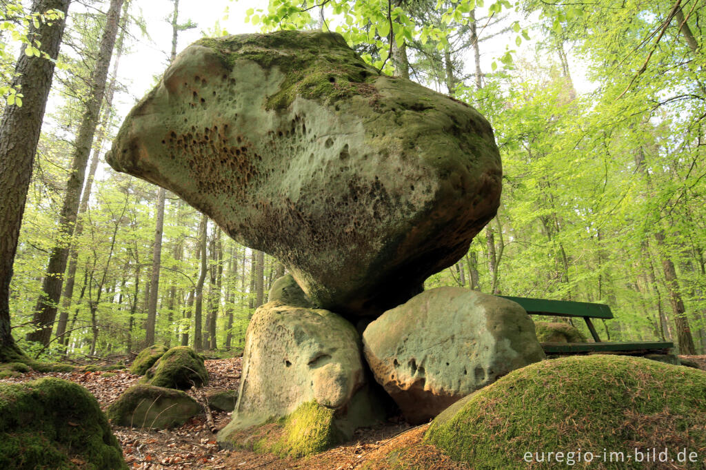 Detailansicht von Der Bärenstein auf dem Ferschweiler Plateau in der Südeifel