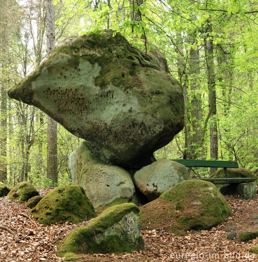 Detailansicht von Der Bärenstein auf dem Ferschweiler Plateau in der Südeifel