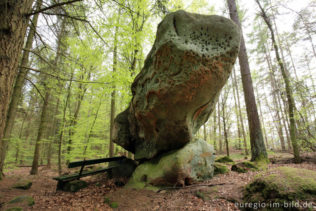 Detailansicht von Der Bärenstein auf dem Ferschweiler Plateau in der Südeifel