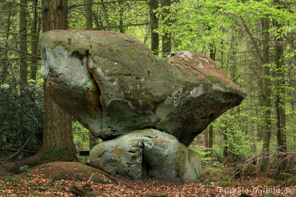 Detailansicht von Der Bärenstein auf dem Ferschweiler Plateau in der Südeifel