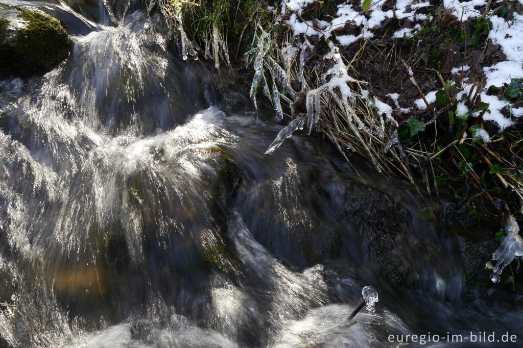 Detailansicht von Der Bechheimer Bach bei Aachen-Hahn