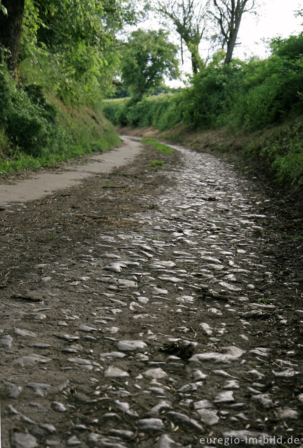 Detailansicht von Der Bocholtzer Weg, ein alter Hohlweg bei Horbach