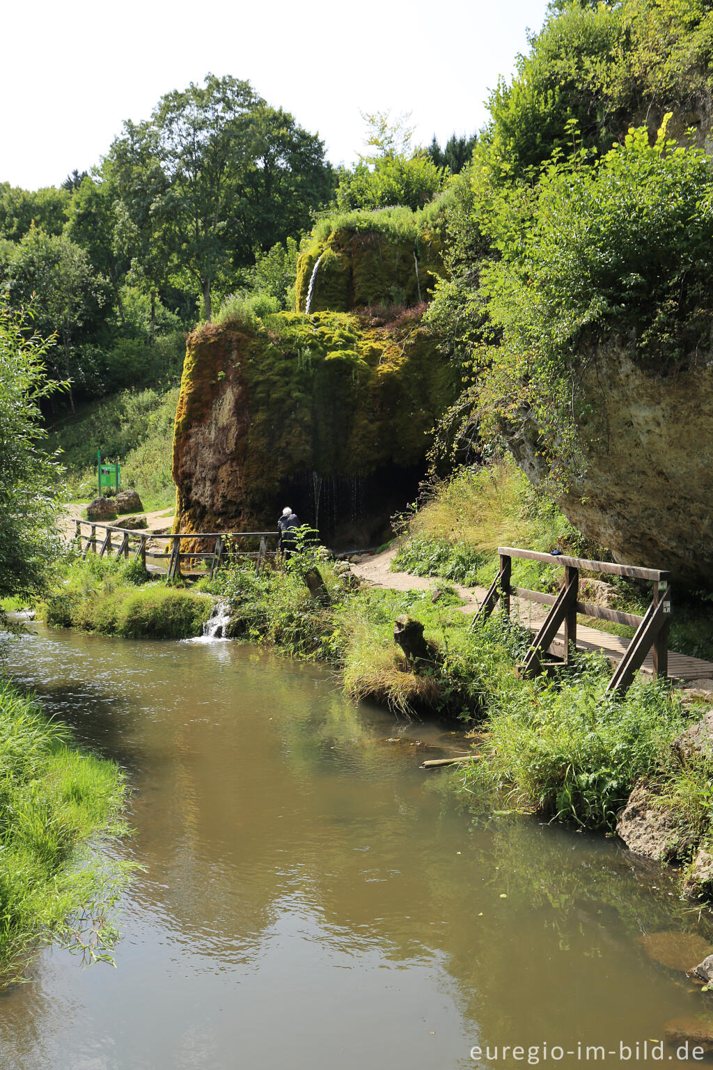 Detailansicht von Der DreimÃ¼hlen-Wasserfall in der Eifel bei Ãxheim AhÃ¼tte