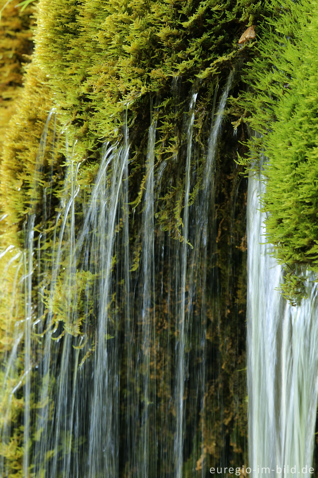 Detailansicht von Der DreimÃ¼hlen-Wasserfall in der Eifel bei Ãxheim AhÃ¼tte