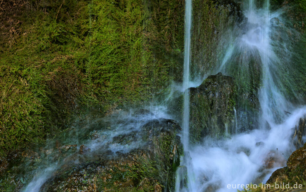 Detailansicht von Der DreimÃ¼hlen-Wasserfall in der Eifel bei Ãxheim AhÃ¼tte