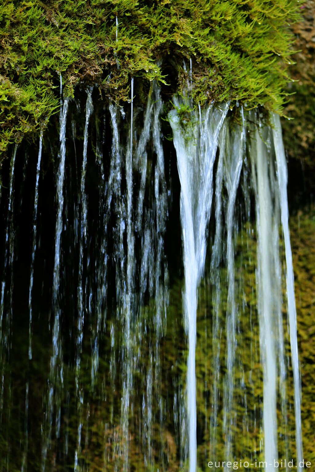 Detailansicht von Der DreimÃ¼hlen-Wasserfall in der Eifel bei Ãxheim AhÃ¼tte