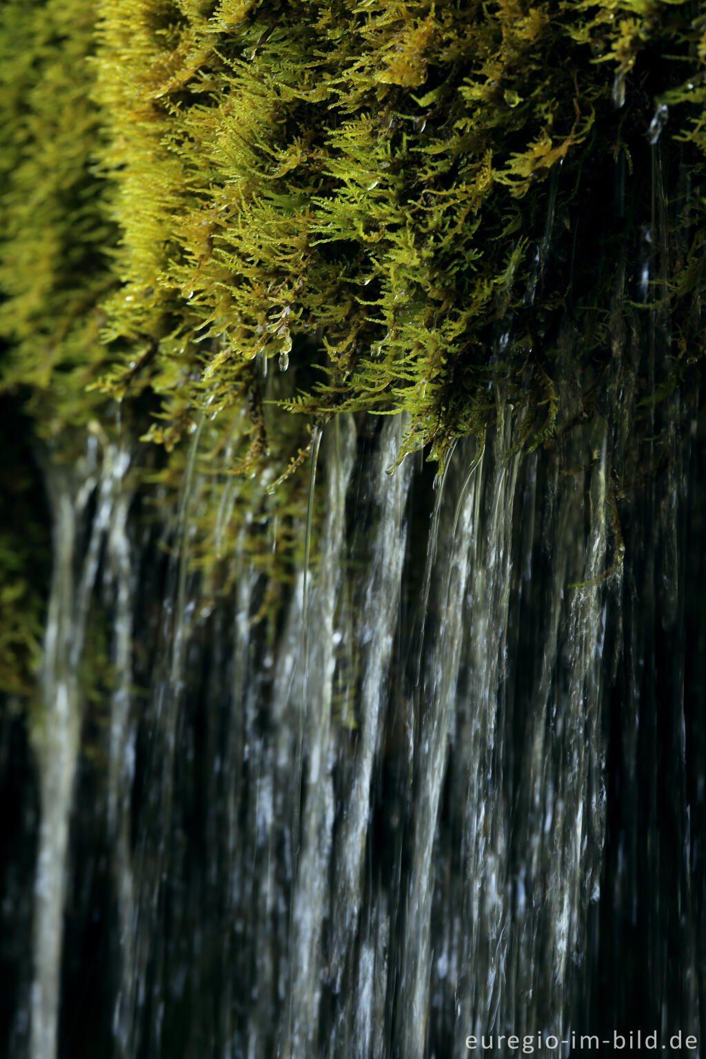 Detailansicht von Der DreimÃ¼hlen-Wasserfall in der Eifel bei Ãxheim AhÃ¼tte