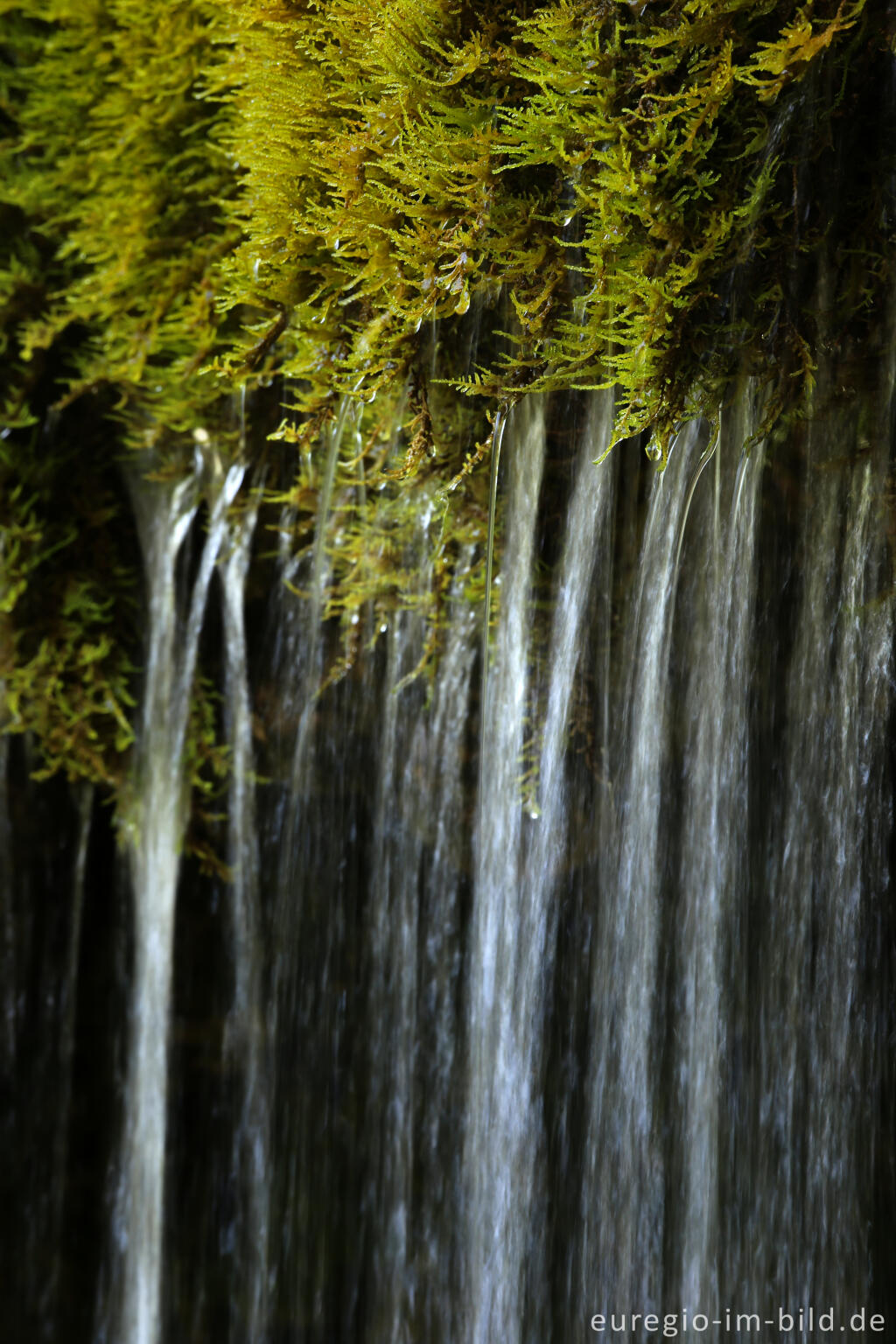 Detailansicht von Der DreimÃ¼hlen-Wasserfall in der Eifel bei Ãxheim AhÃ¼tte