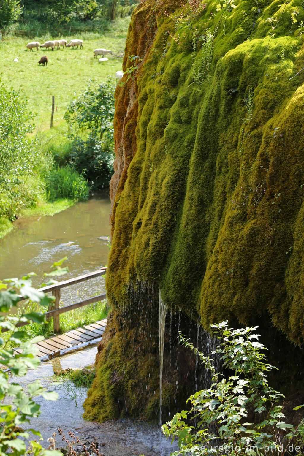 Detailansicht von Der DreimÃ¼hlen-Wasserfall in der Eifel bei Ãxheim AhÃ¼tte