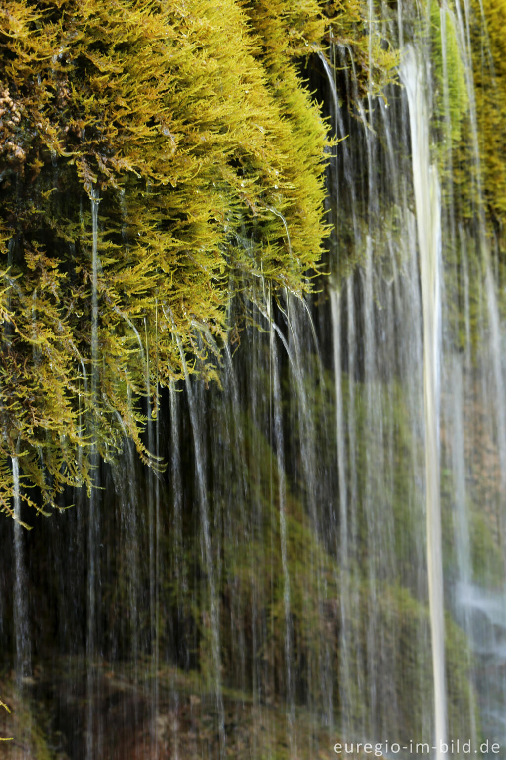 Detailansicht von Der DreimÃ¼hlen-Wasserfall in der Eifel bei Ãxheim AhÃ¼tte