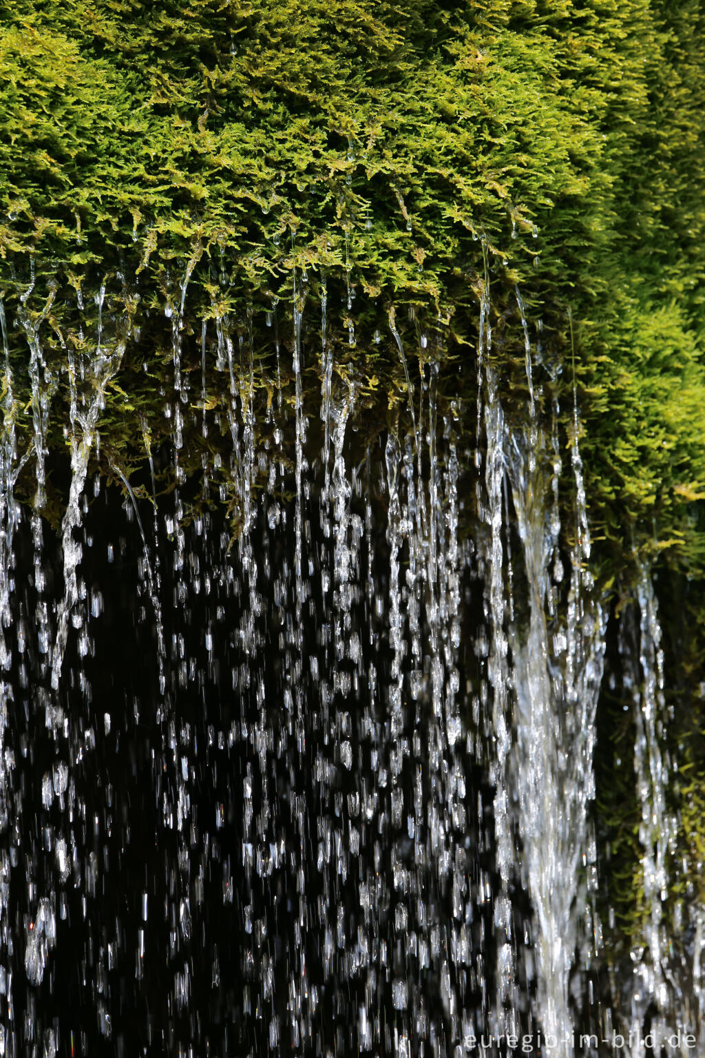 Detailansicht von Der DreimÃ¼hlen-Wasserfall in der Eifel bei Ãxheim AhÃ¼tte