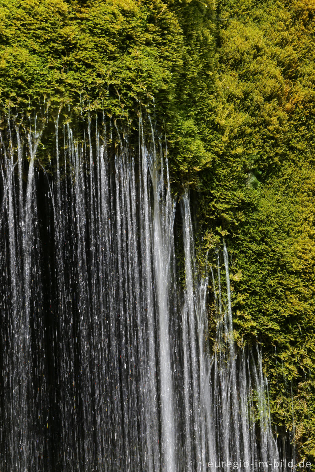 Detailansicht von Der DreimÃ¼hlen-Wasserfall in der Eifel bei Ãxheim AhÃ¼tte