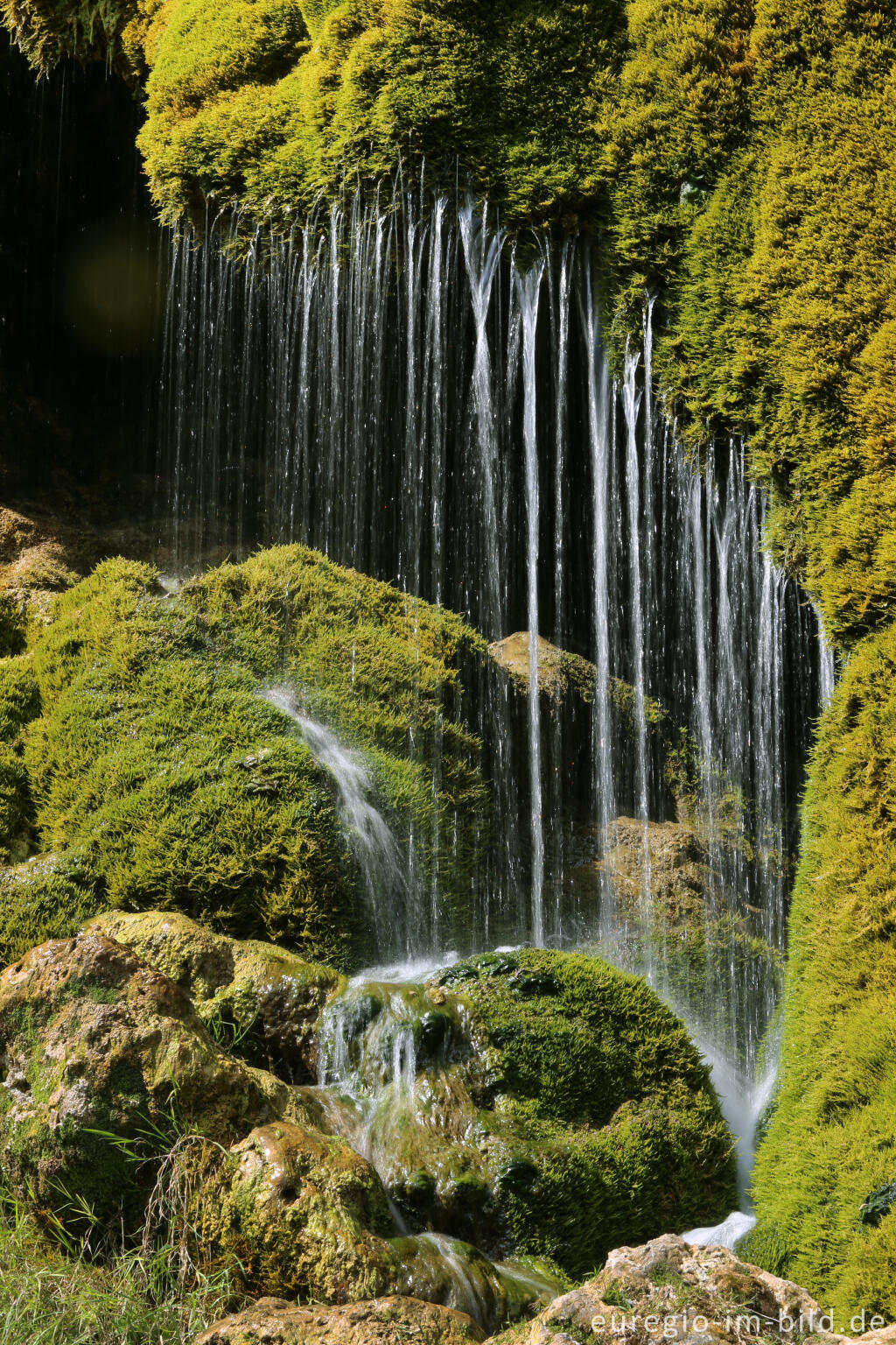 Detailansicht von Der DreimÃ¼hlen-Wasserfall in der Eifel bei Ãxheim AhÃ¼tte