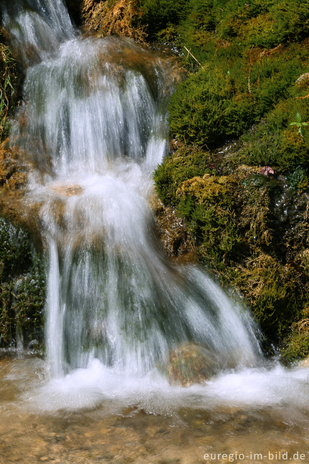 Detailansicht von Der DreimÃ¼hlen-Wasserfall in der Eifel bei Ãxheim AhÃ¼tte