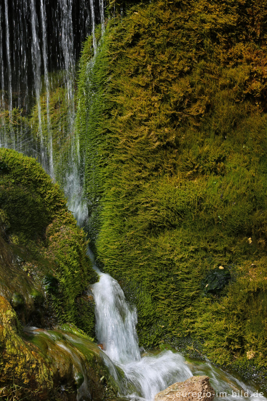 Detailansicht von Der DreimÃ¼hlen-Wasserfall in der Eifel bei Ãxheim AhÃ¼tte