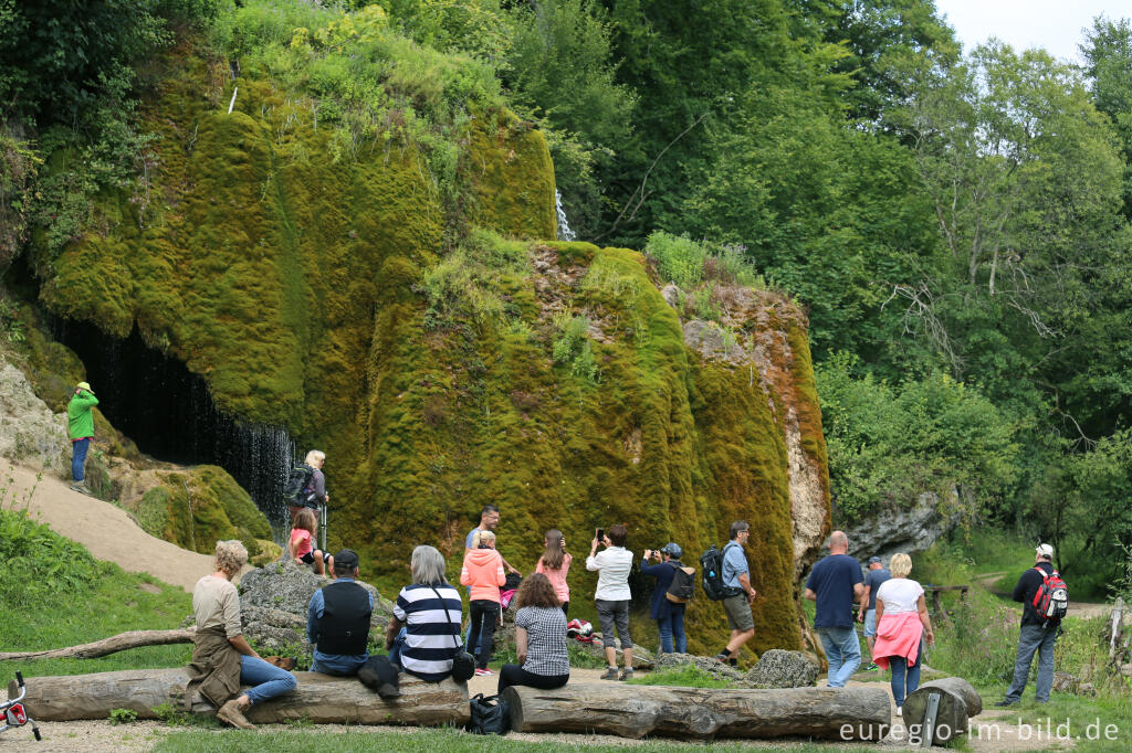 Detailansicht von Der DreimÃ¼hlen-Wasserfall in der Eifel bei Ãxheim AhÃ¼tte