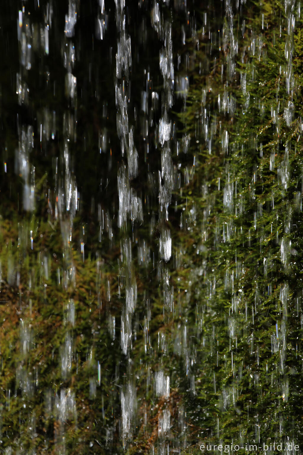 Detailansicht von Der DreimÃ¼hlen-Wasserfall in der Eifel bei Ãxheim AhÃ¼tte