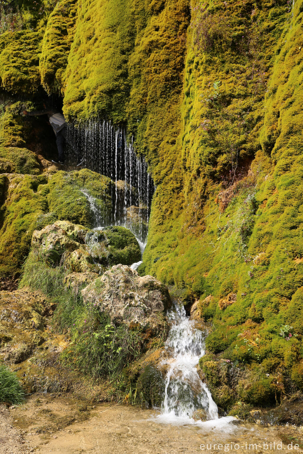 Detailansicht von Der DreimÃ¼hlen-Wasserfall in der Eifel bei Ãxheim AhÃ¼tte