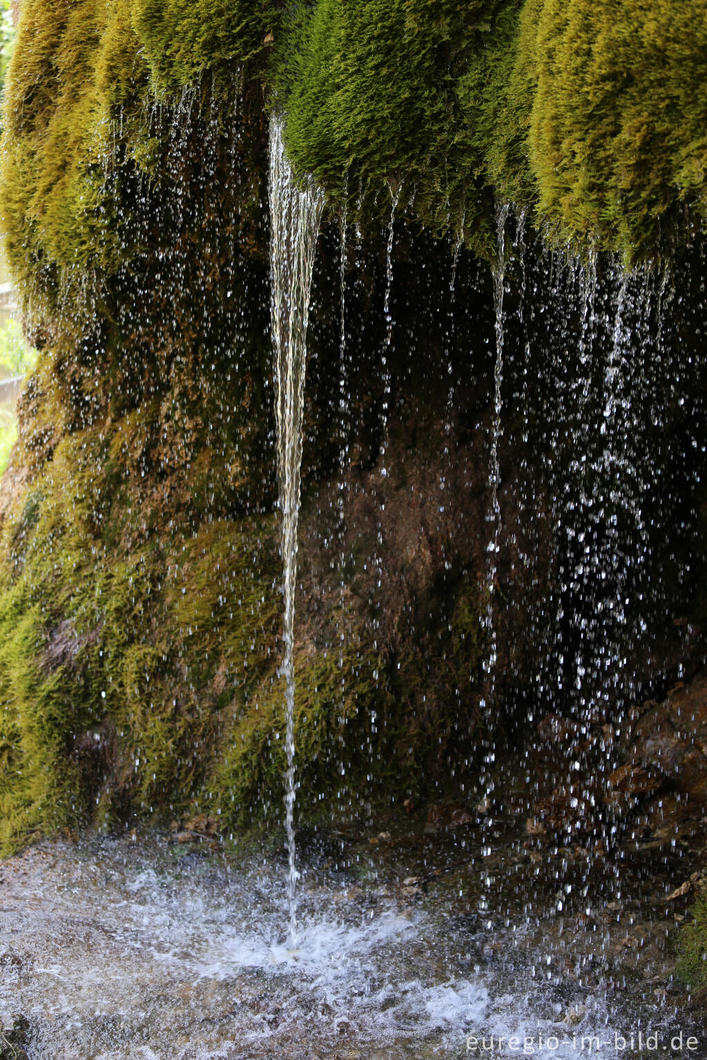 Detailansicht von Der DreimÃ¼hlen-Wasserfall in der Eifel bei Ãxheim AhÃ¼tte