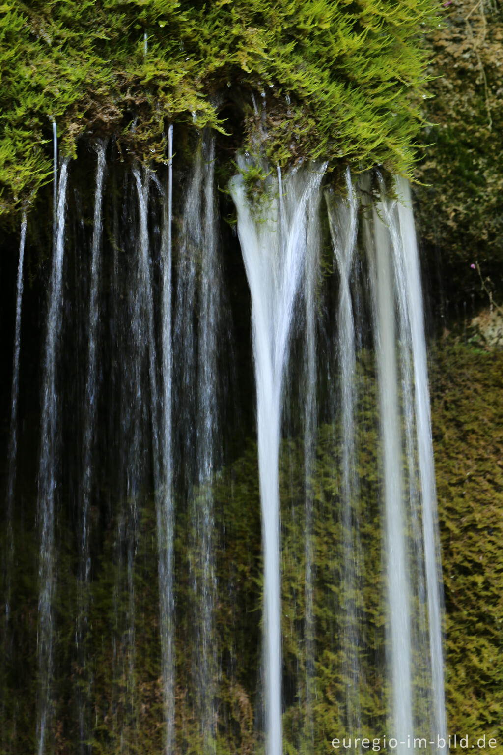 Detailansicht von Der DreimÃ¼hlen-Wasserfall in der Eifel bei Ãxheim AhÃ¼tte