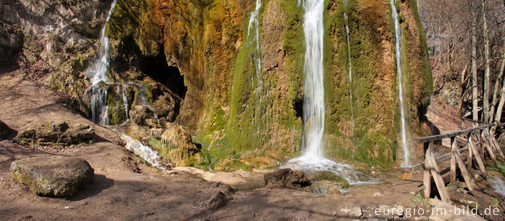 Detailansicht von Der DreimÃ¼hlen-Wasserfall in der Kalkeifel