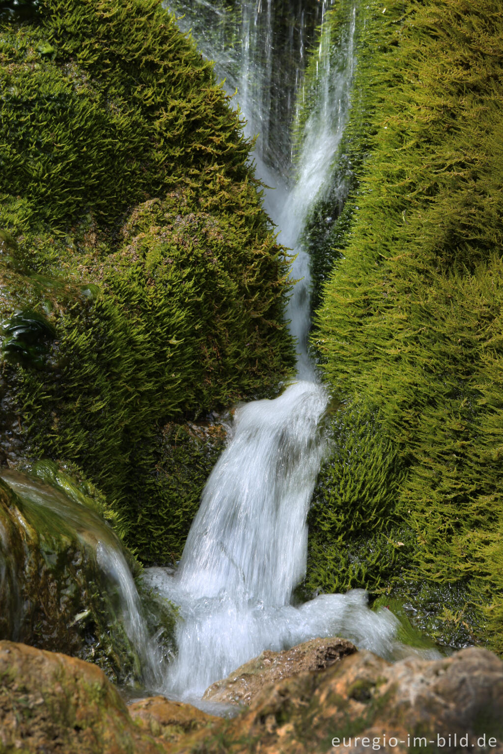 Detailansicht von Der Dreimühlen-Wasserfall in der Eifel bei Üxheim Ahütte