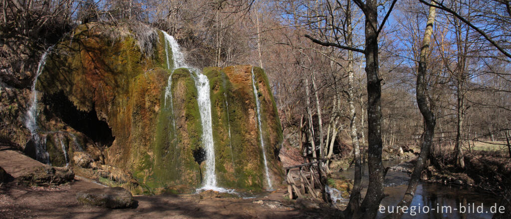 Detailansicht von Der Dreimühlen-Wasserfall in der Kalkeifel