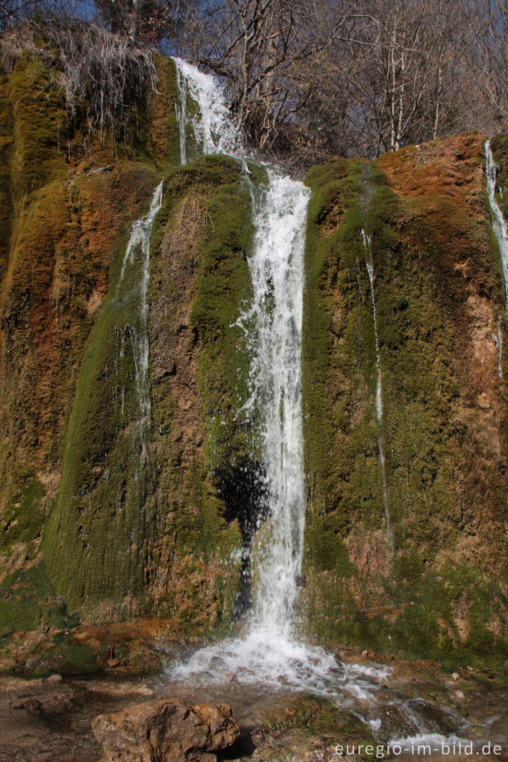 Detailansicht von Der Dreimühlen-Wasserfall in der Kalkeifel