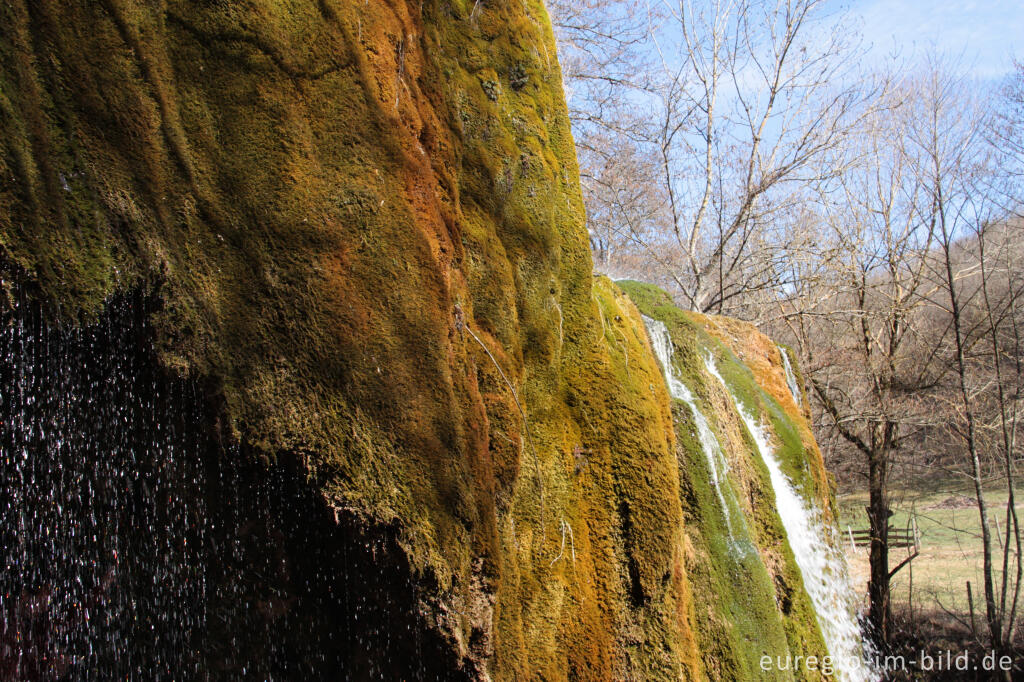 Detailansicht von Der Dreimühlen-Wasserfall in der Kalkeifel