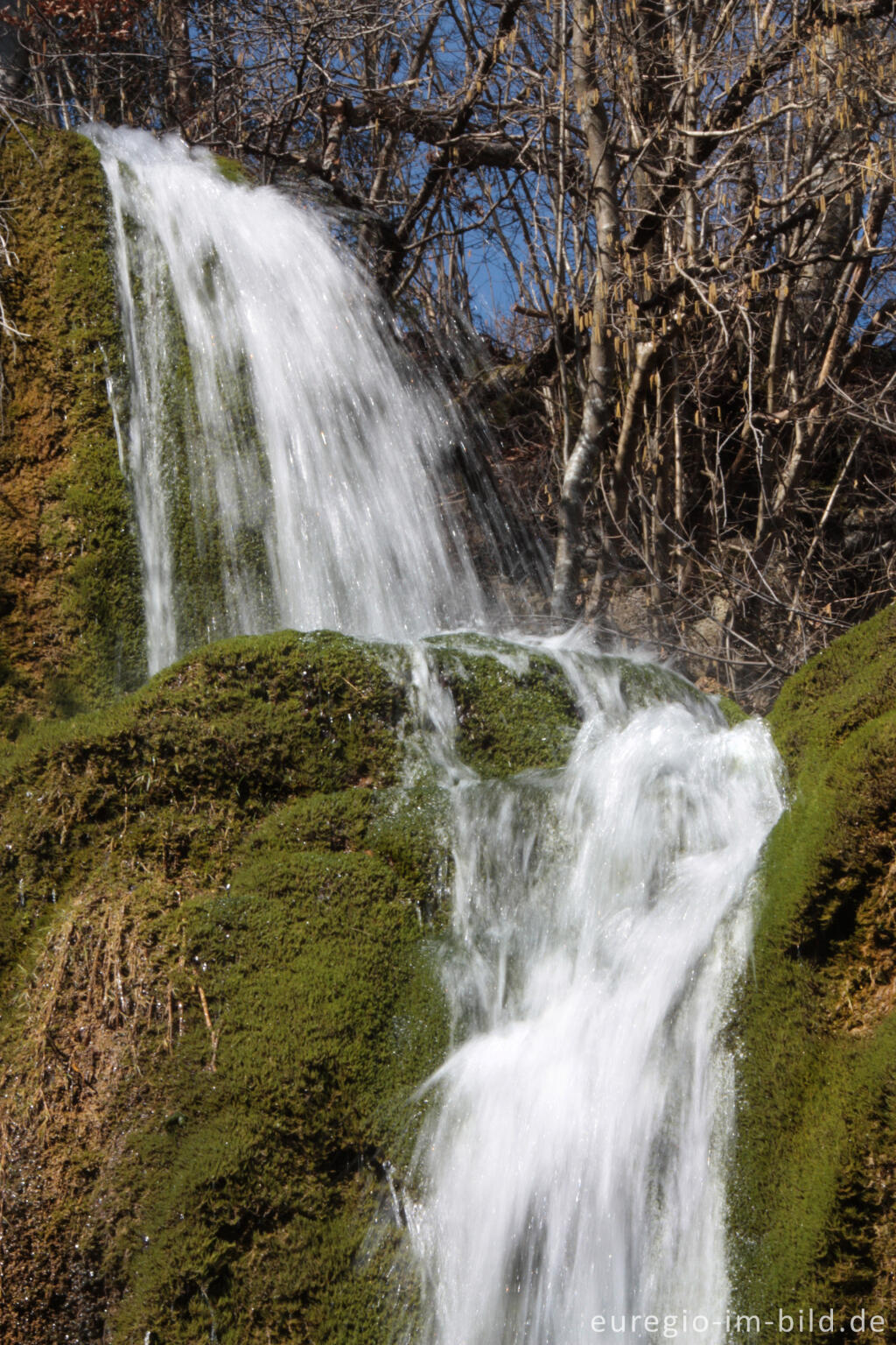 Detailansicht von Der Dreimühlen-Wasserfall in der Kalkeifel