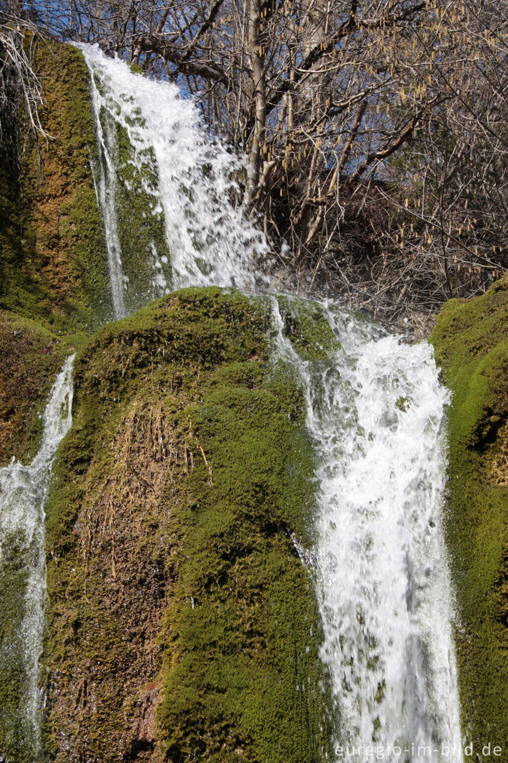 Detailansicht von Der Dreimühlen-Wasserfall in der Kalkeifel