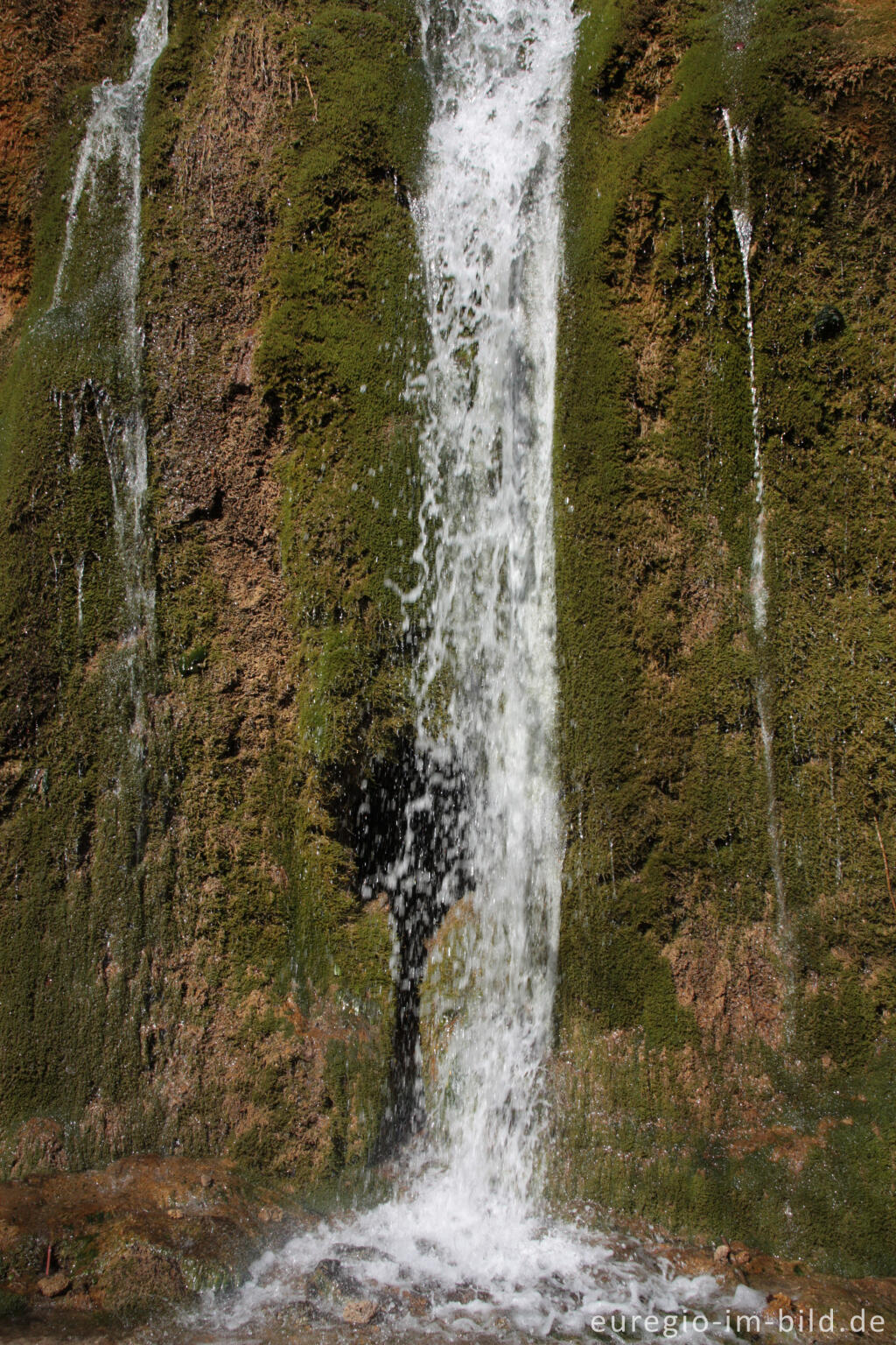 Detailansicht von Der Dreimühlen-Wasserfall in der Kalkeifel