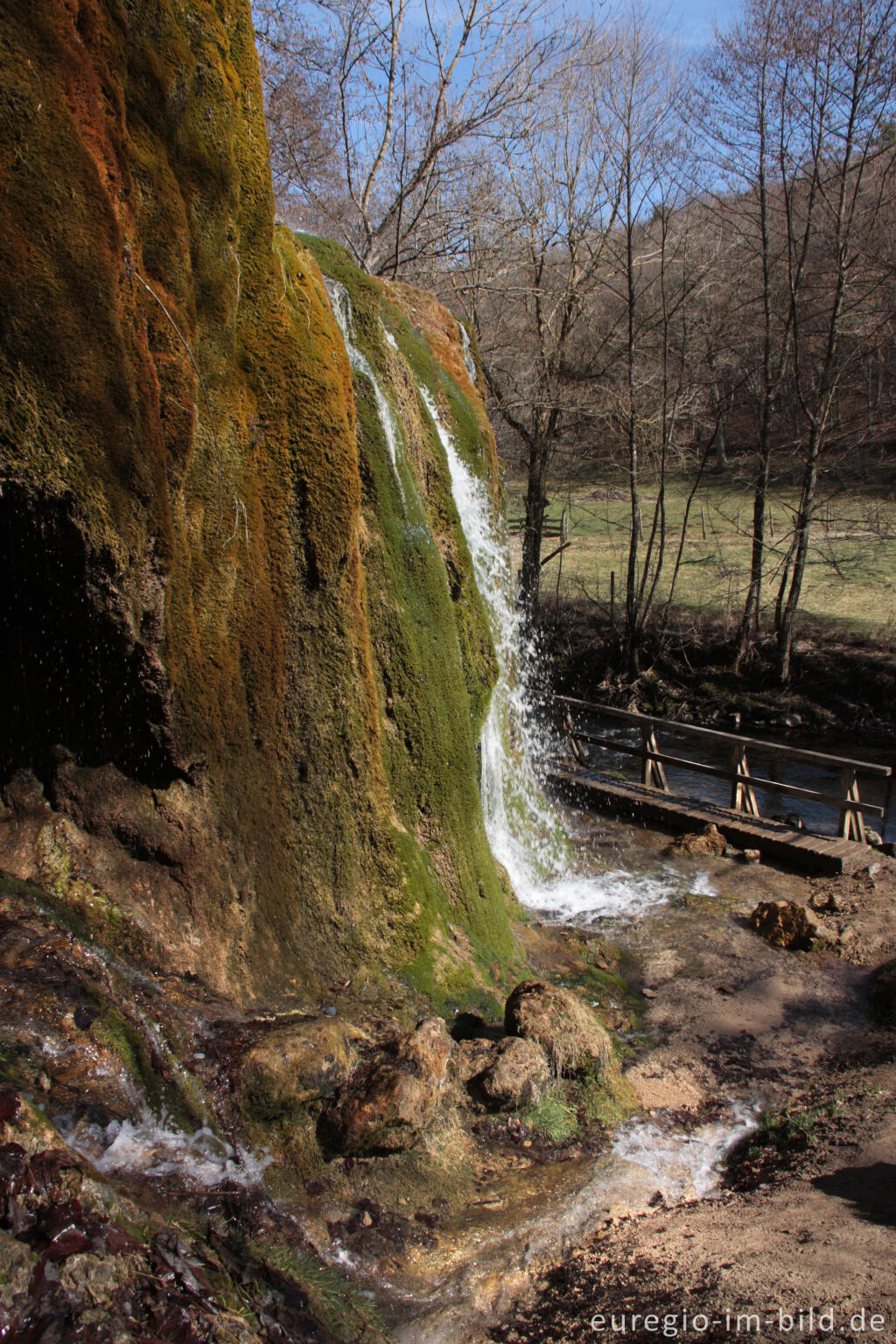 Detailansicht von Der Dreimühlen-Wasserfall in der Kalkeifel