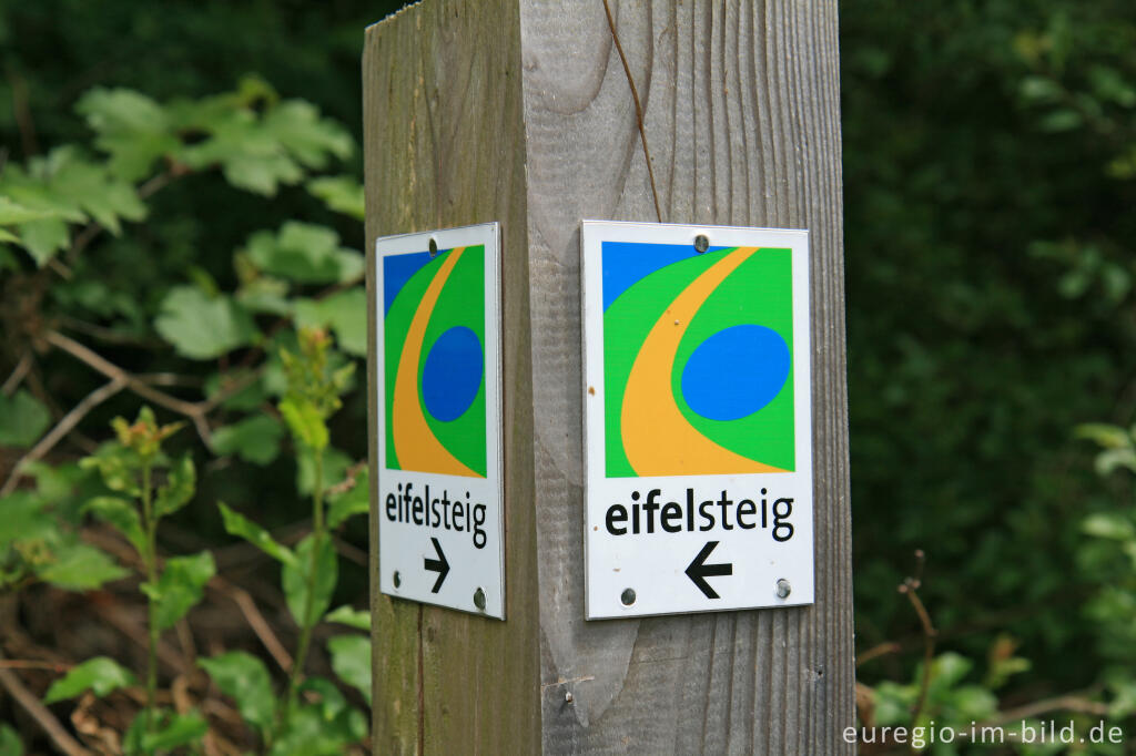 Detailansicht von Der Eifelsteig bei Roetgen