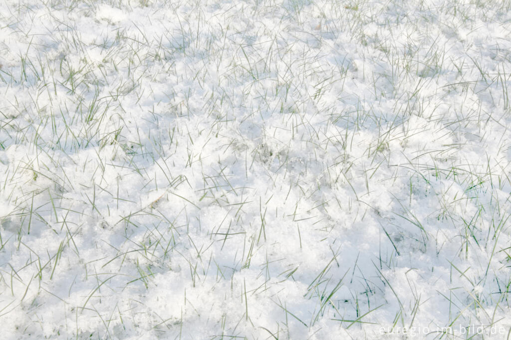 Detailansicht von Der erste Schnee