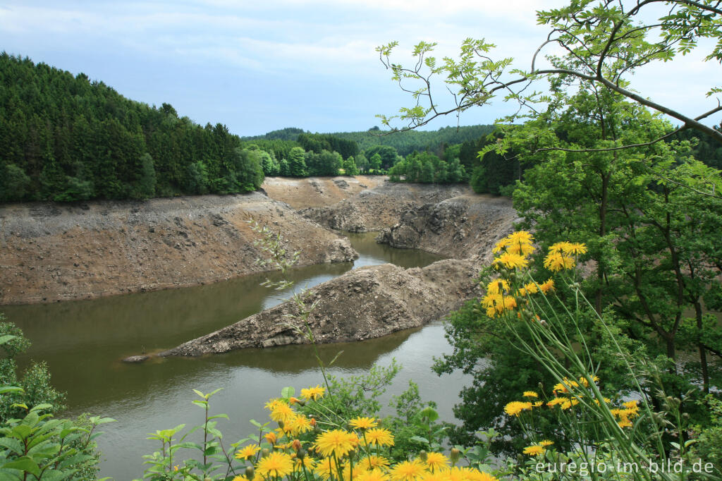 Detailansicht von Der (fast) leere See von Robertville