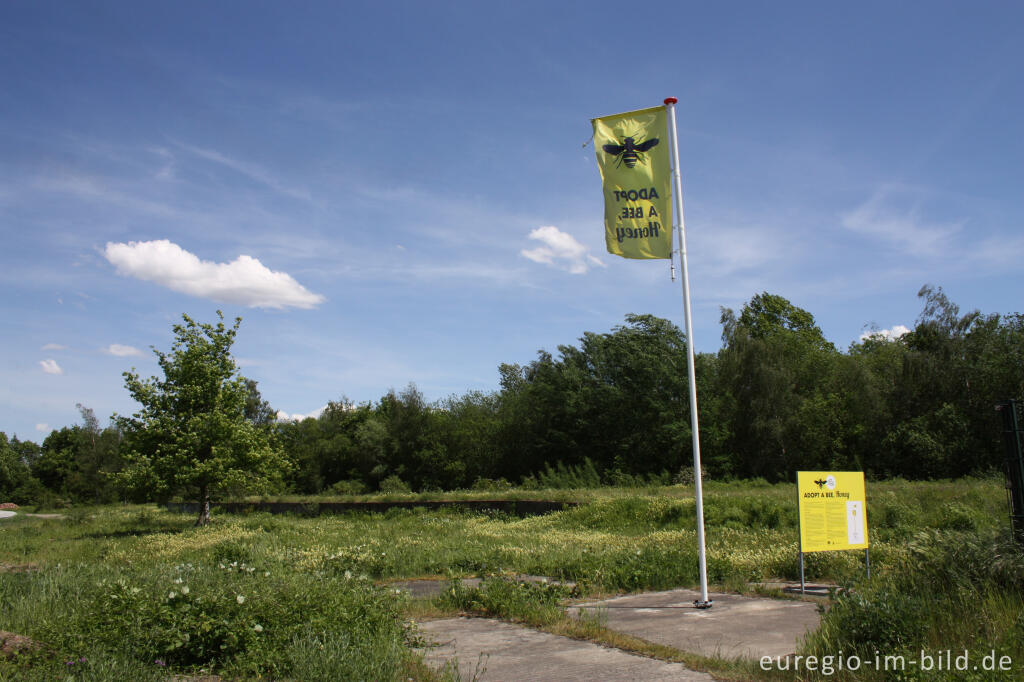 Detailansicht von Der Frontenpark in Maastricht