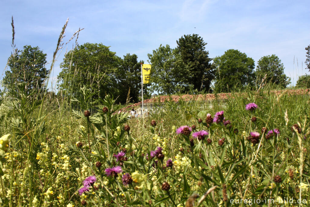 Detailansicht von Der Frontenpark in Maastricht