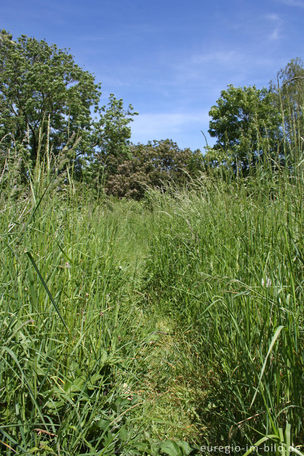 Detailansicht von Der Frontenpark in Maastricht