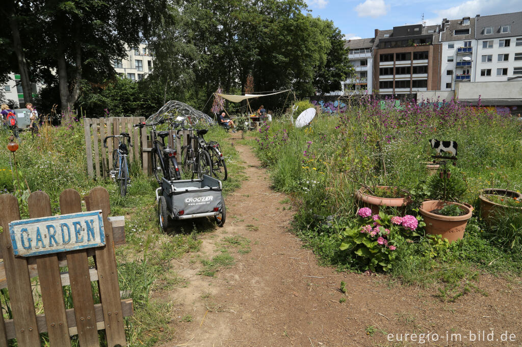 Detailansicht von Der Gemeinschaftsgarten HirschGrün in Aachen