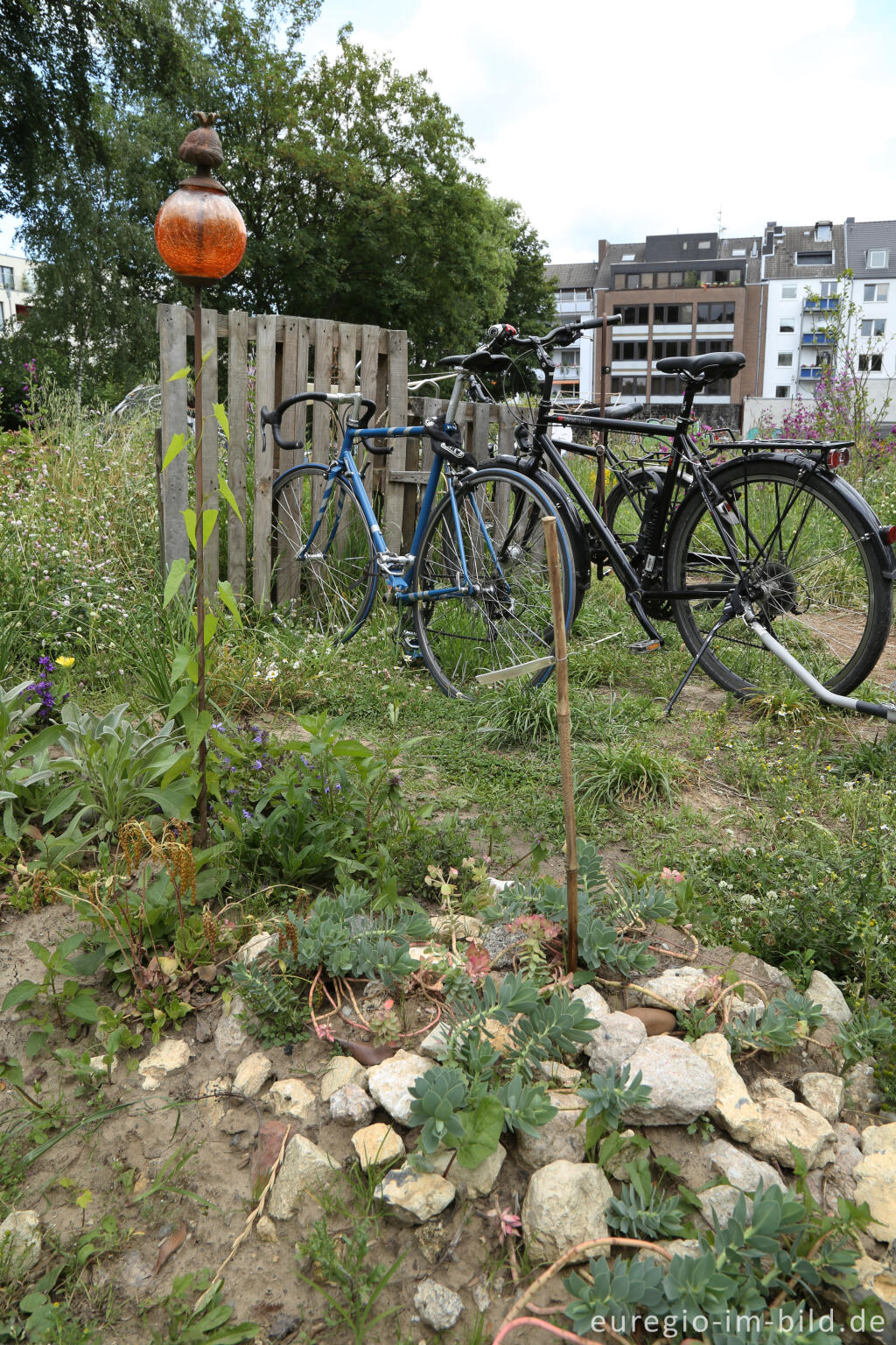 Detailansicht von Der Gemeinschaftsgarten HirschGrün in Aachen