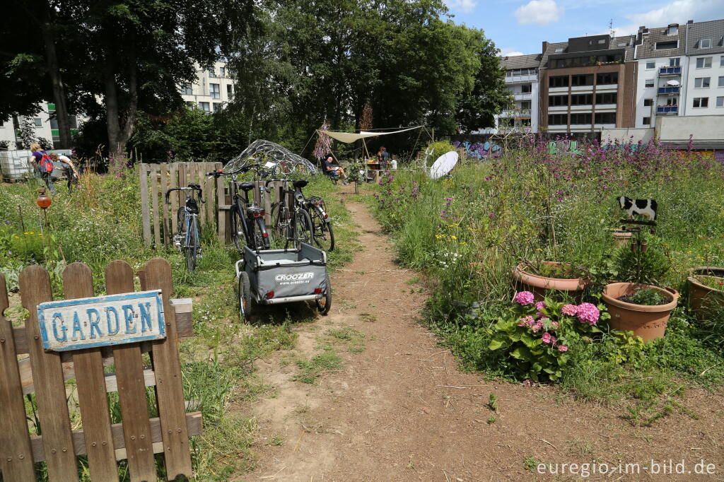 Detailansicht von Der Gemeinschaftsgarten HirschGrün in Aachen