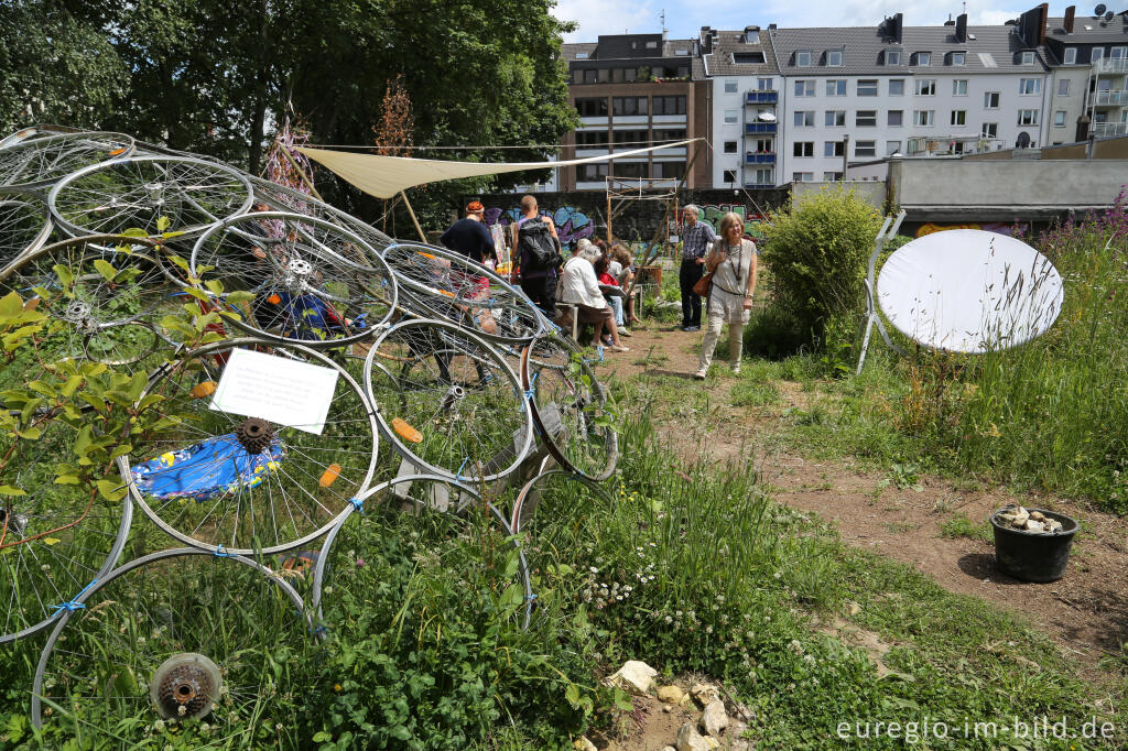 Detailansicht von Der Gemeinschaftsgarten HirschGrün in Aachen