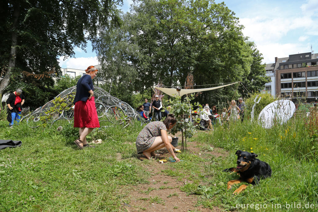 Detailansicht von Der Gemeinschaftsgarten HirschGrün in Aachen