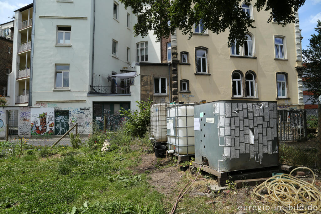 Detailansicht von Der Gemeinschaftsgarten HirschGrün in Aachen