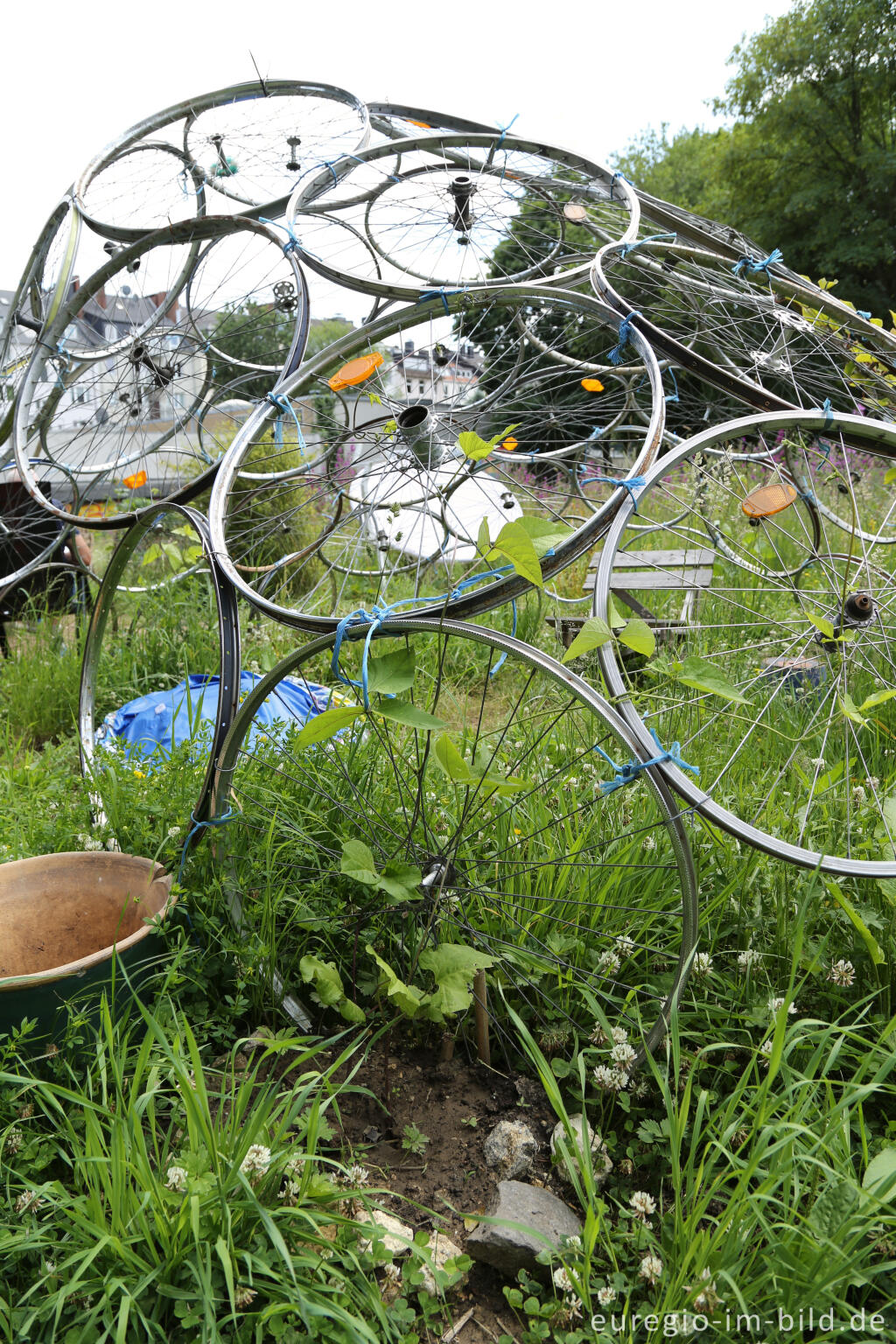 Detailansicht von Der Gemeinschaftsgarten HirschGrün in Aachen